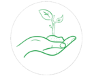 Green line drawing of a hand gently cradling a young plant with two small leaves.